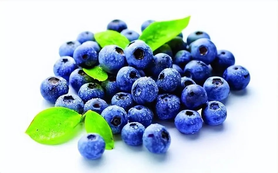 新鲜蓝莓拼团（二团）